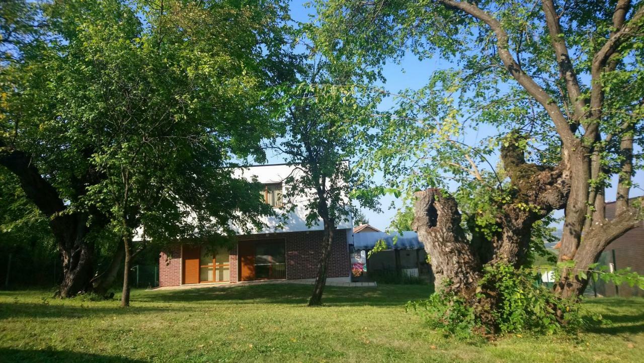 Villa Dream Dobrevtsi Exterior foto